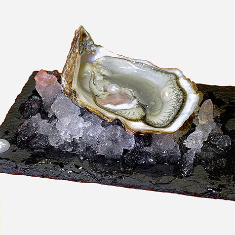 StyleAura® - You Are The Inspiration